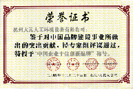 中国企业十佳创新品牌